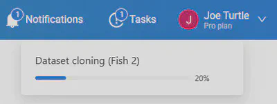 Tasks tab