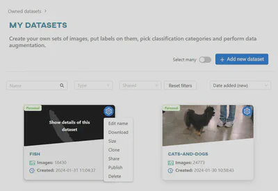 Datasets view
