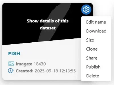 Datasets view