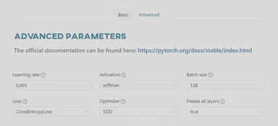 Advanced parameters - PyTorch
