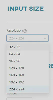 Input size