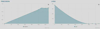 Detection precision and loss charts