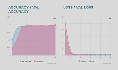 Classification accuracy and loss charts
