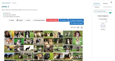Dataset