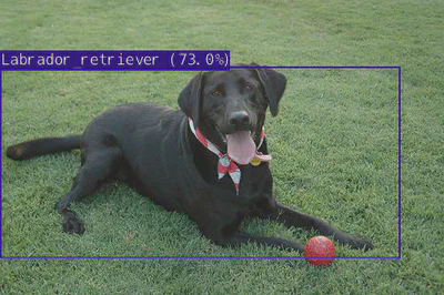 Detection result