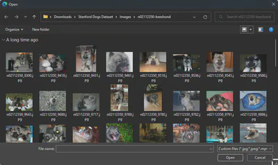 Select file