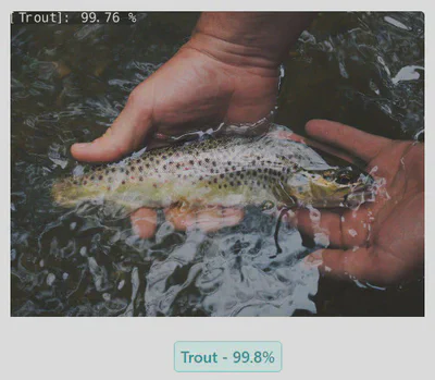 Trout