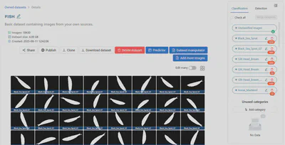 Fish dataset