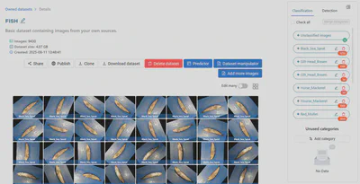 Dataset