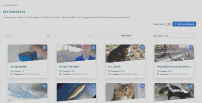 Datasets view