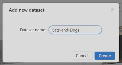 Add new dataset
