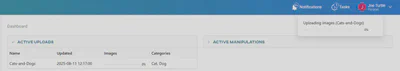 Uploading in progress
