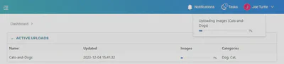 Uploading in progress