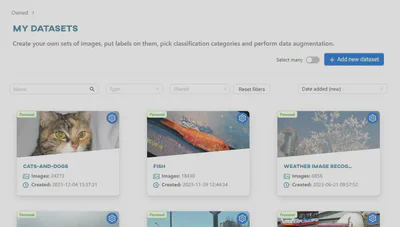 Datasets view