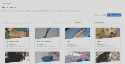 Datasets view