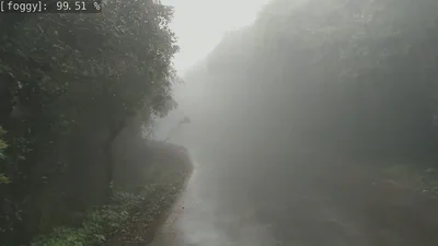 Fog