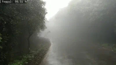 Fog