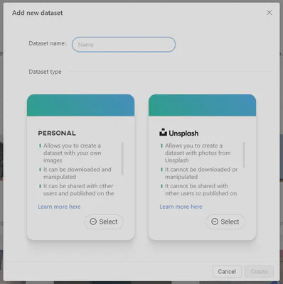 Select dataset type, enter a name, and click ‘create’