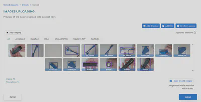 Dataset preview