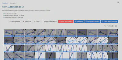 Skończony dataset