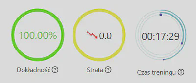 Statystyki modelu