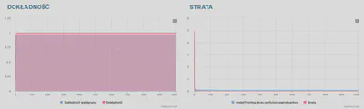 Dokładność klasyfikacji i wykresy strat