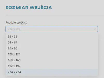Rozmiar wejściowy