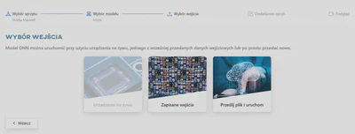 Wybór danych wejściowych