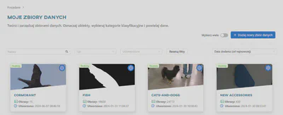 Dodaj nowy zbiór danych