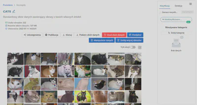 Zawartość zbioru danych