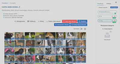 Wyświetl kategorię ‘Dog’