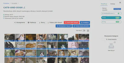 Wyświetl kategorię ‘Cat’