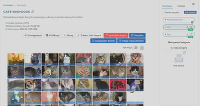 Wyświetl kategorię ‘Cat’