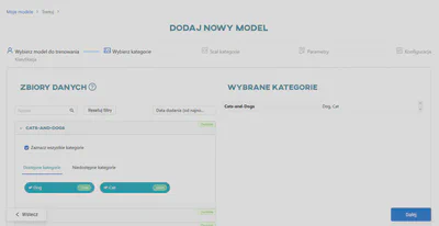 Wybierz zbiór danych i kategorii