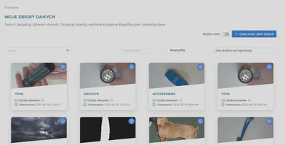 Widok zbiorów danych