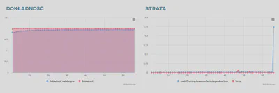 Dokładność i strata